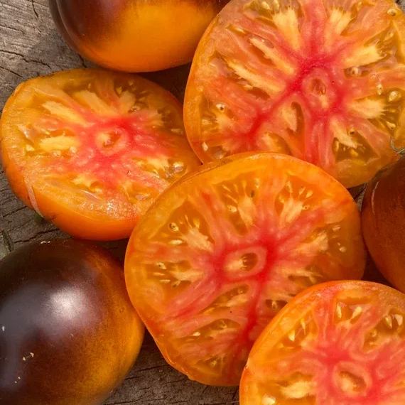 Lucid Gem Tomato Seeds 