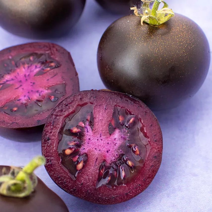 Purple Galaxy Tomato Seeds