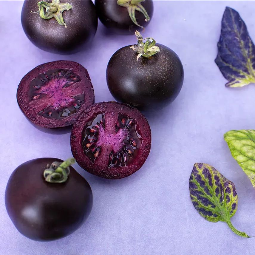 Purple Galaxy Tomato Seeds