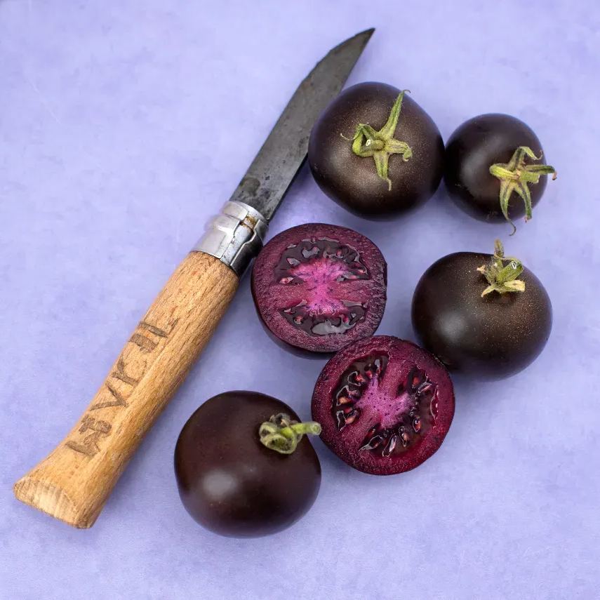 Purple Galaxy Tomato Seeds