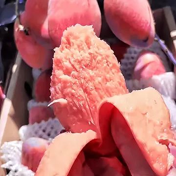 🎉✨56 Discount🔥Rare Pink Mango💗Super Sweet