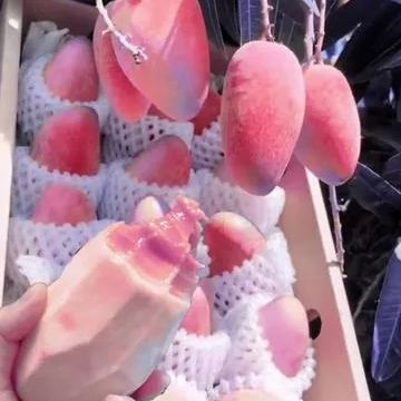 🎉✨56 Discount🔥Rare Pink Mango💗Super Sweet