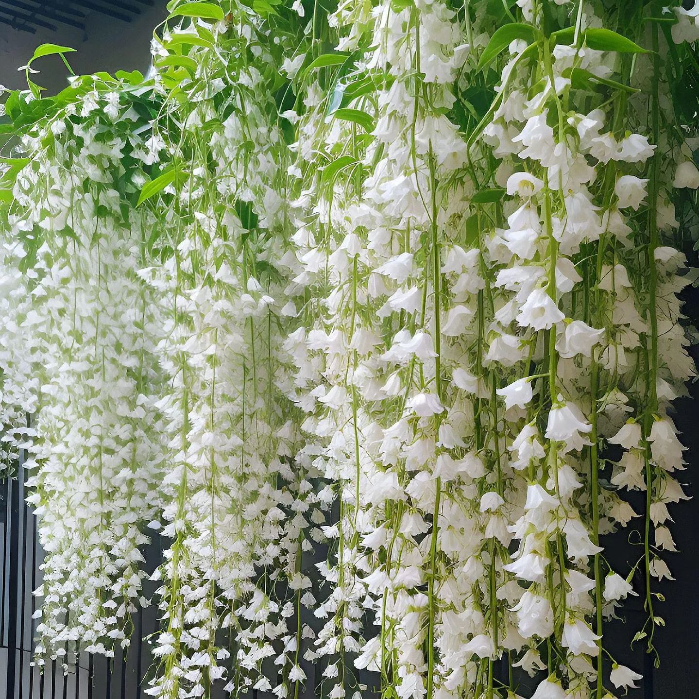 Hot Selling🎉Super Beautiful Creeping Jasmine🥰Plant A Simple Potted Plant