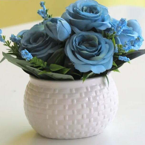 🌈 Miniature Colorful Roses – Add a Splash of Color to Your Garden! 🌹