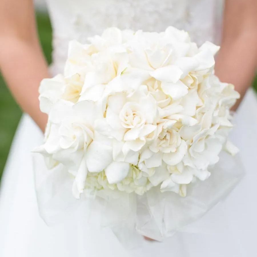 Gardenia Seeds-the flower of perfume-a must-have in summer