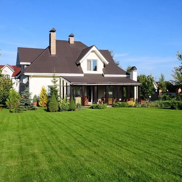 Four-Season Evergreen No-Mow Lawn Seed