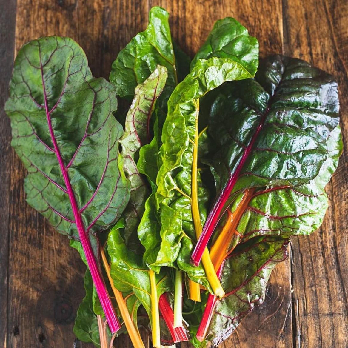 Rainbow Mix Swiss Chard Seeds