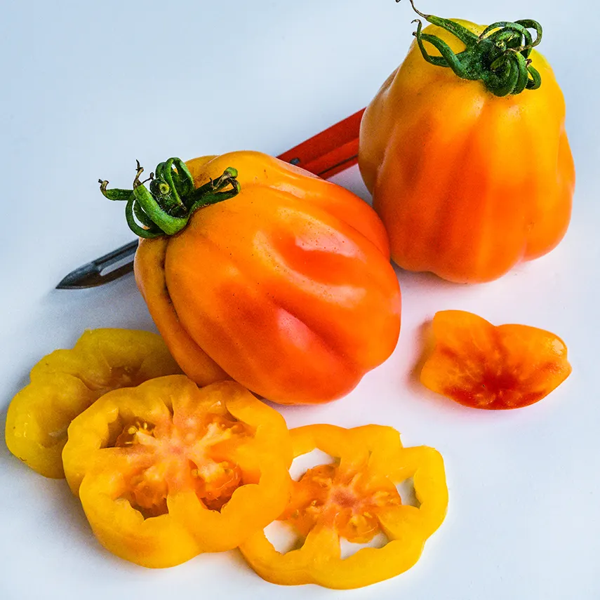 Tomato, California Tulip