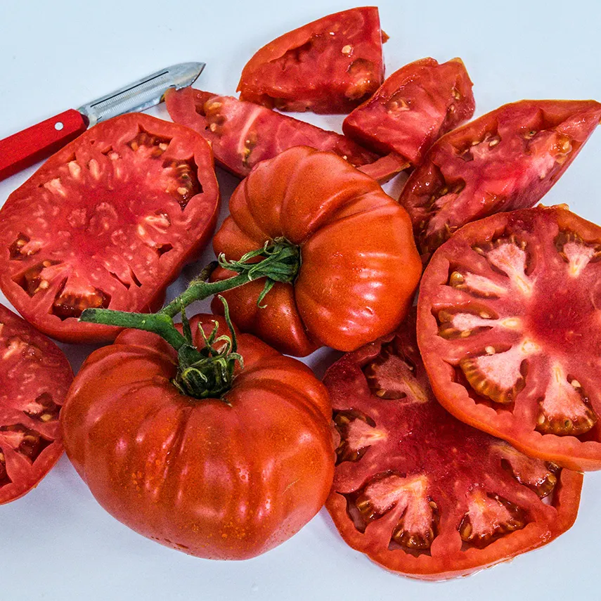 Classic Beefsteak Tomato Seeds | Baker Creek Seeds