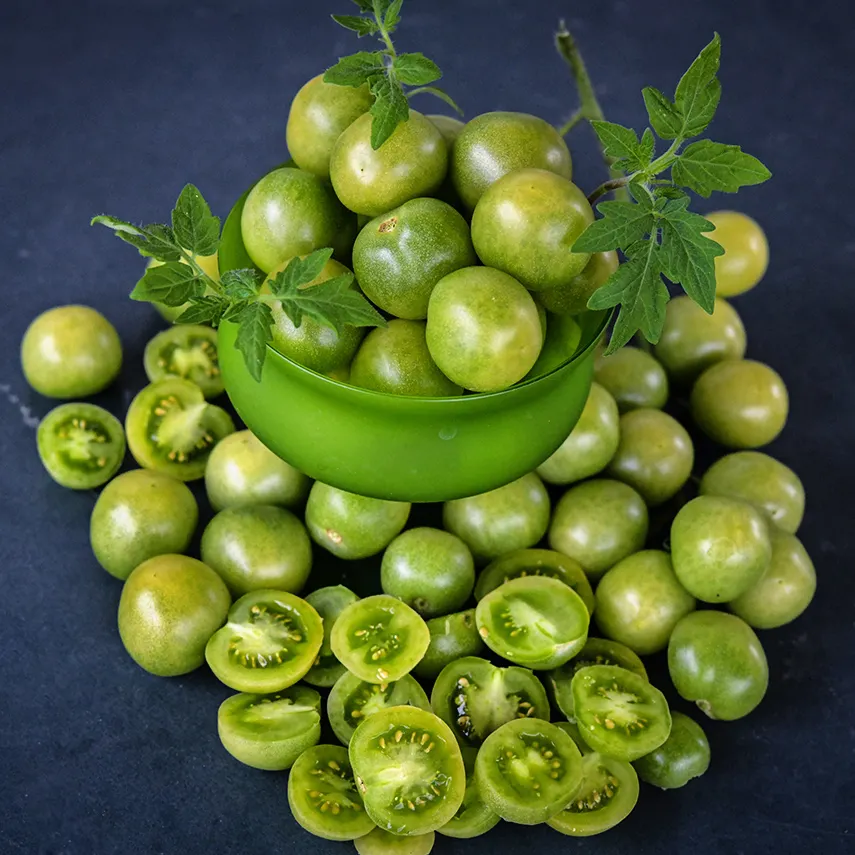 Green Doctors Tomato Seeds | Baker Creek Seeds