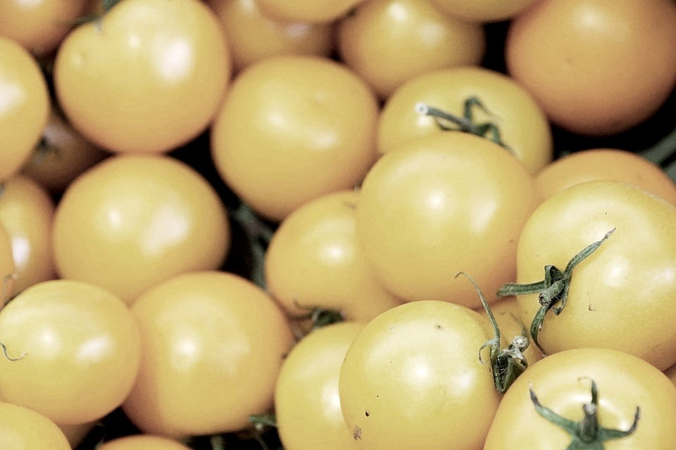 TOMATO 'White Cherry' seeds – Boondie Seeds