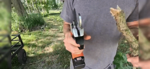 1731587586987016.gif GIF 1.gif