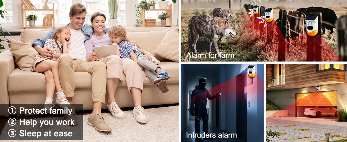 motion alarm with siren