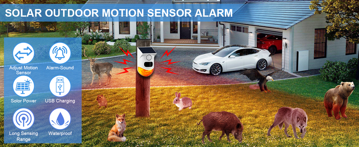 motion alarm outdoor