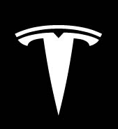 TESEVO LED Logo Tesla Puddle Lights for Model 3/Y/S/X-TESEVO