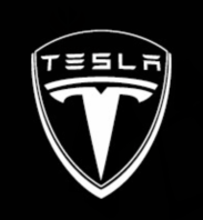 TESEVO LED Logo Tesla Puddle Lights for Model 3/Y/S/X-TESEVO