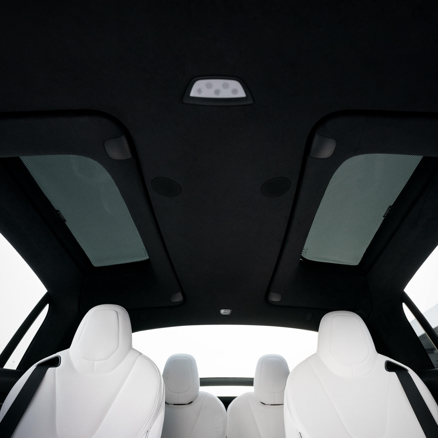 TESEVO Side Car Window Sunroof Sunshades for Model X