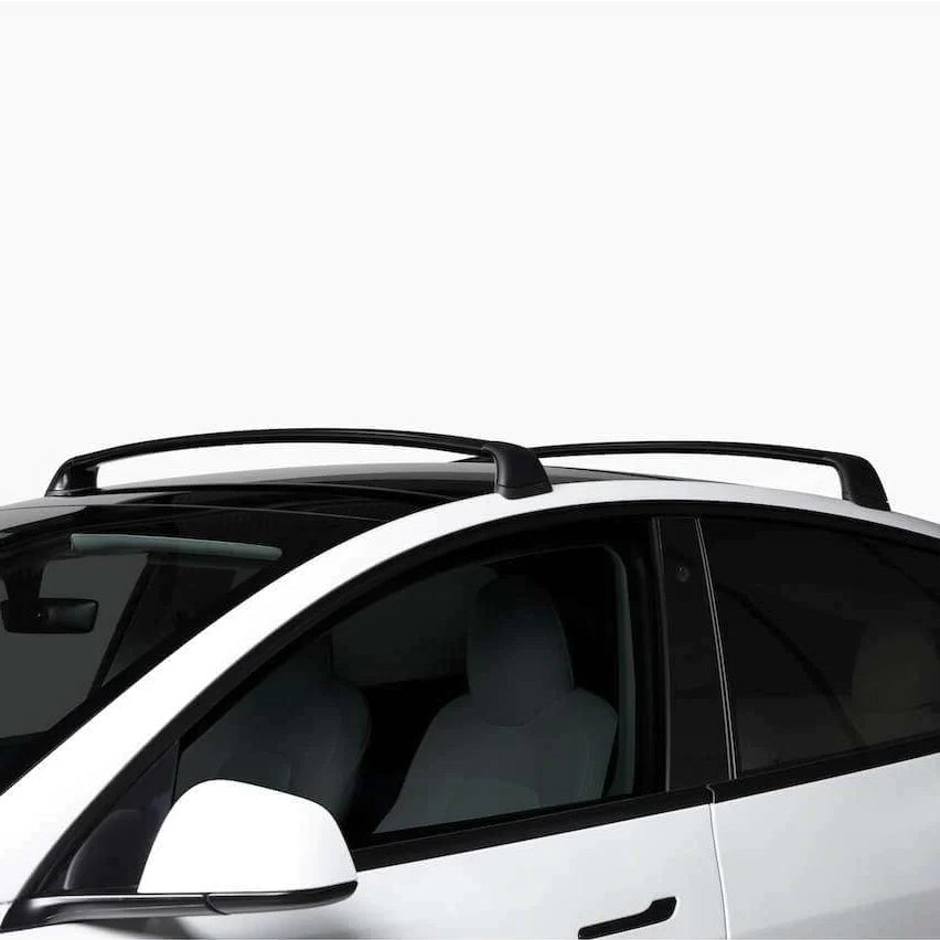 Model y ski online rack