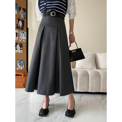 Skirt A Pleated Skirt