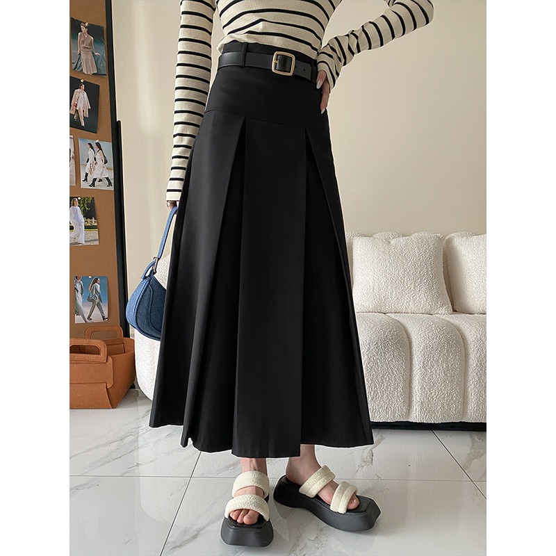 Skirt A Pleated Skirt