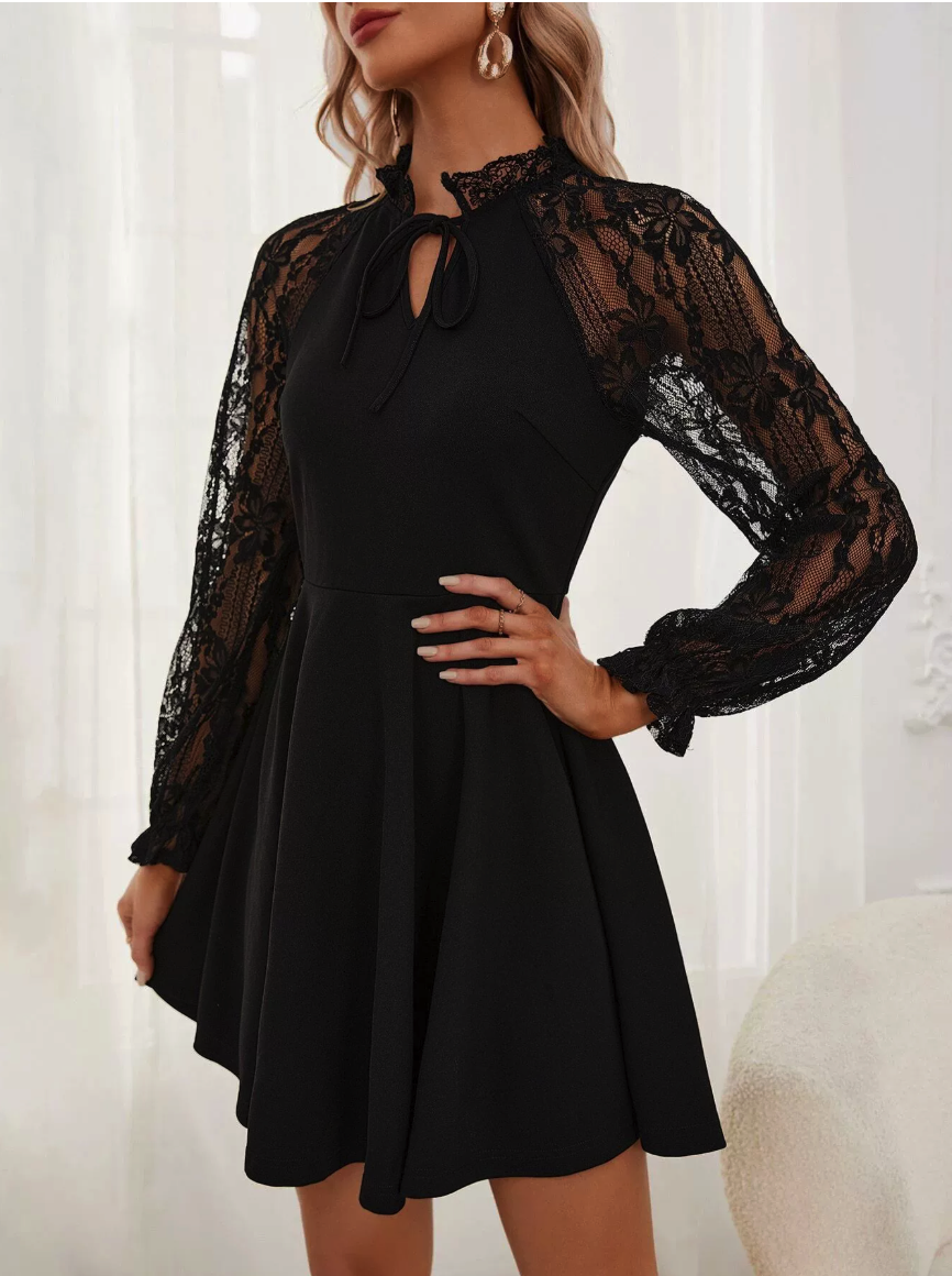 Lace Sheer-Sleeve  Mini Dress