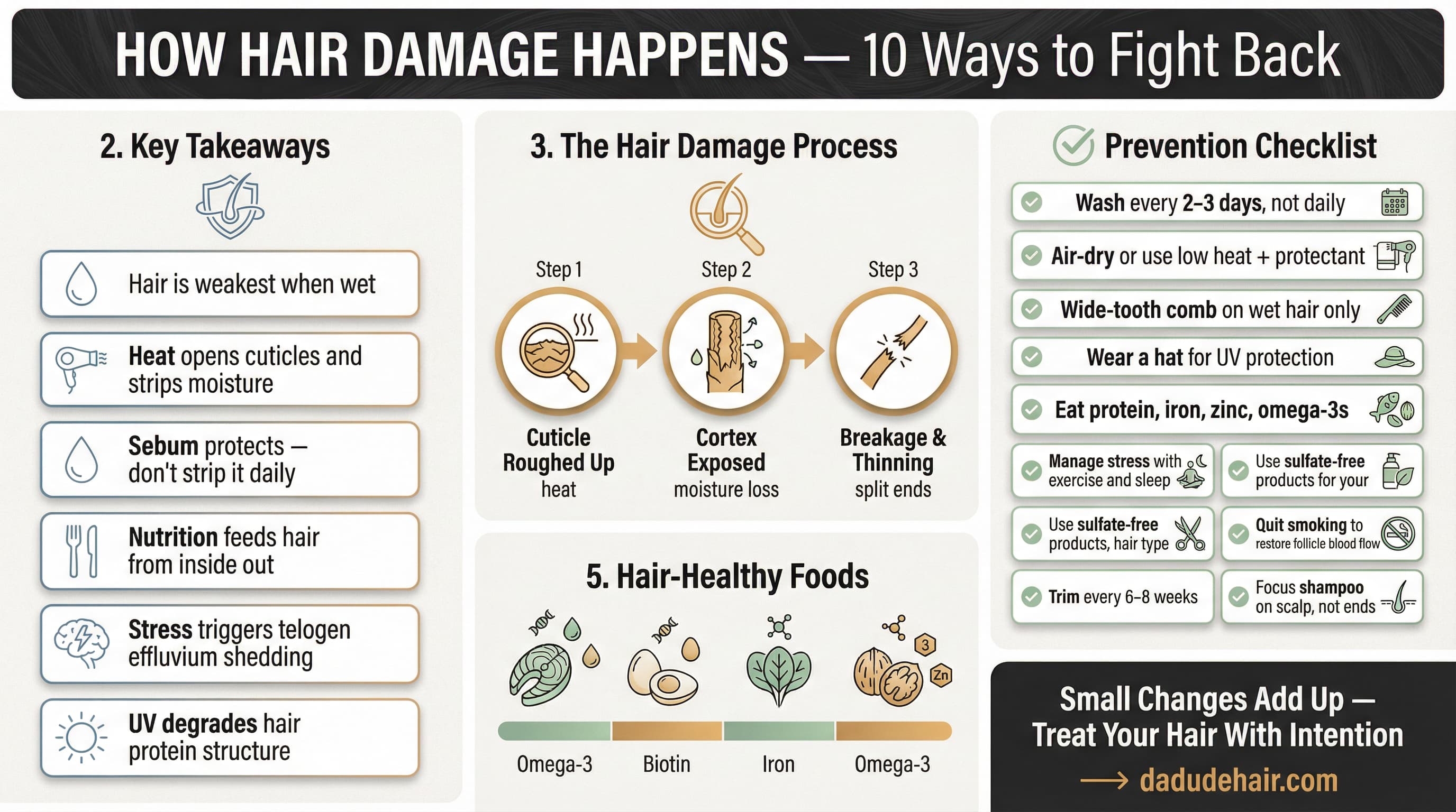 Infographic showing 10 ways to prevent hair damage in men with tips on washing nutrition and protection