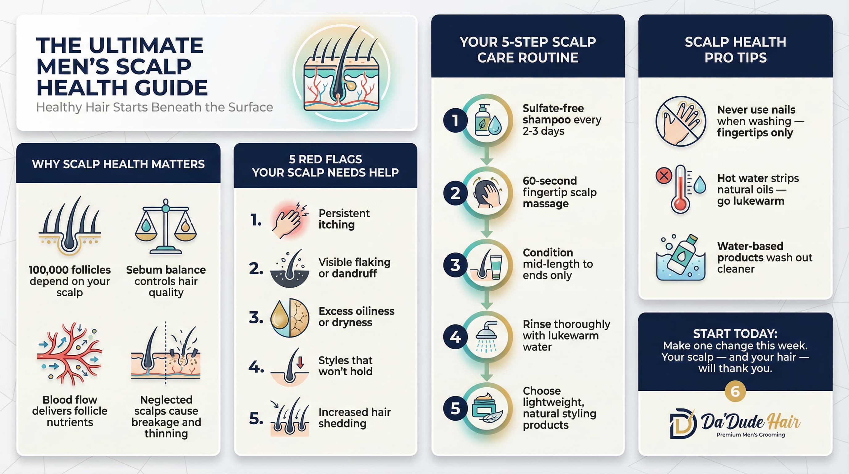 Infographic showing the ultimate men's scalp health guide covering 5-step care routine, warning signs, and sebum balance tips for stronger hair