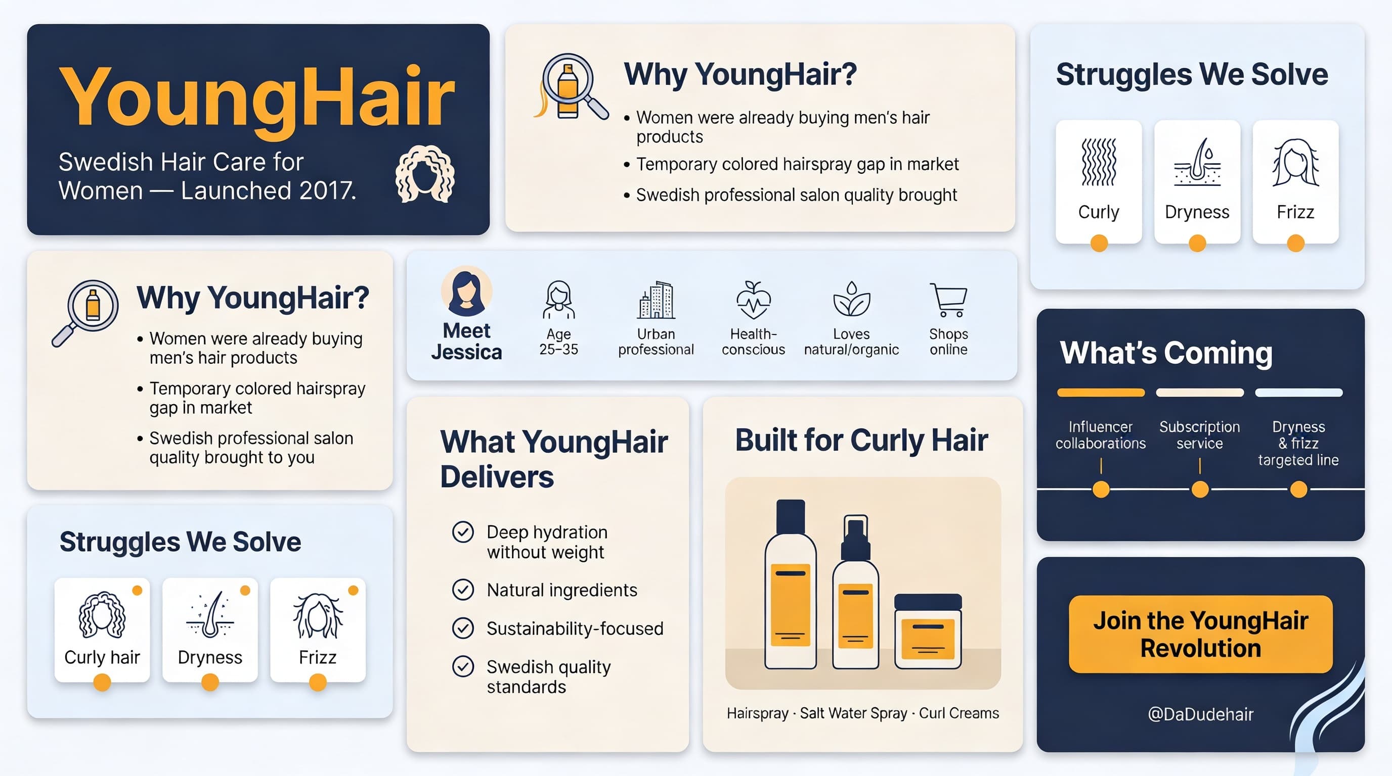 YoungHair Swedish hair care for women infographic &mdash; curly dry frizzy hair product guide