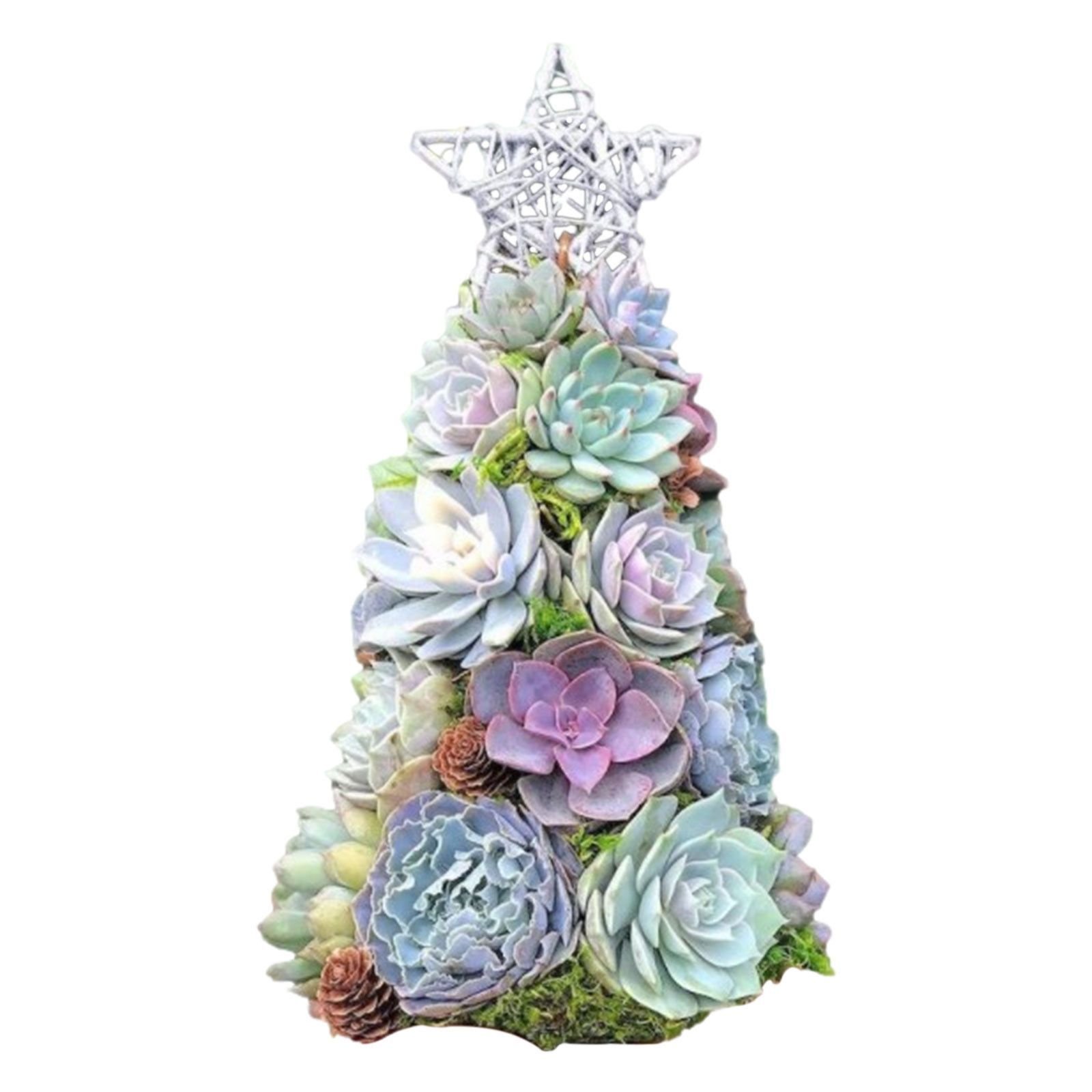 🔥Last  Day 70% OFF - 🎁🎄Succulent Art Tree