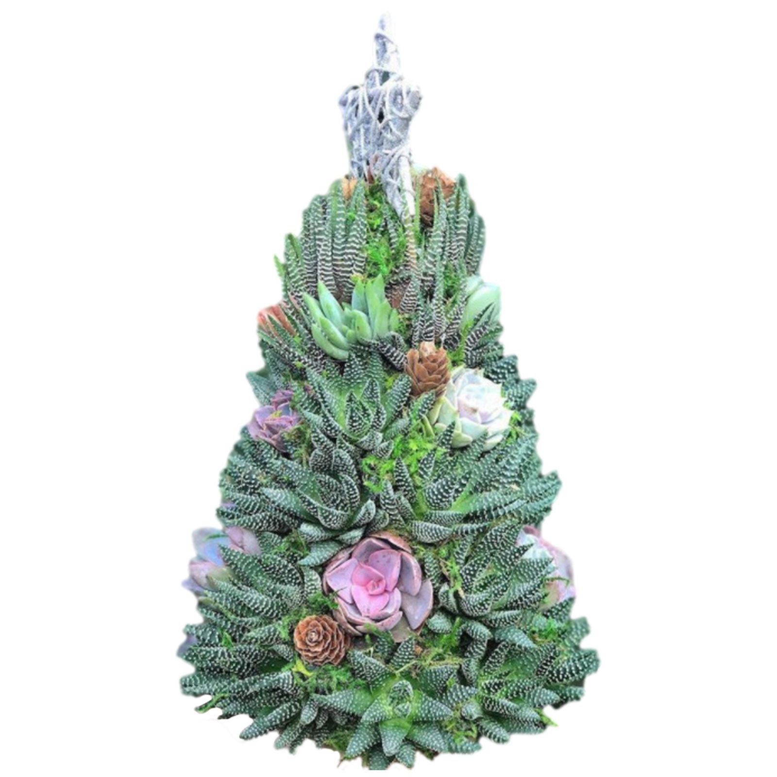 🔥Last  Day 70% OFF - 🎁🎄Succulent Art Tree