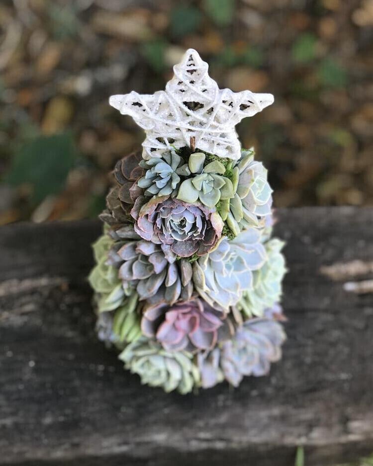 🔥Last  Day 70% OFF - 🎁🎄Succulent Art Tree