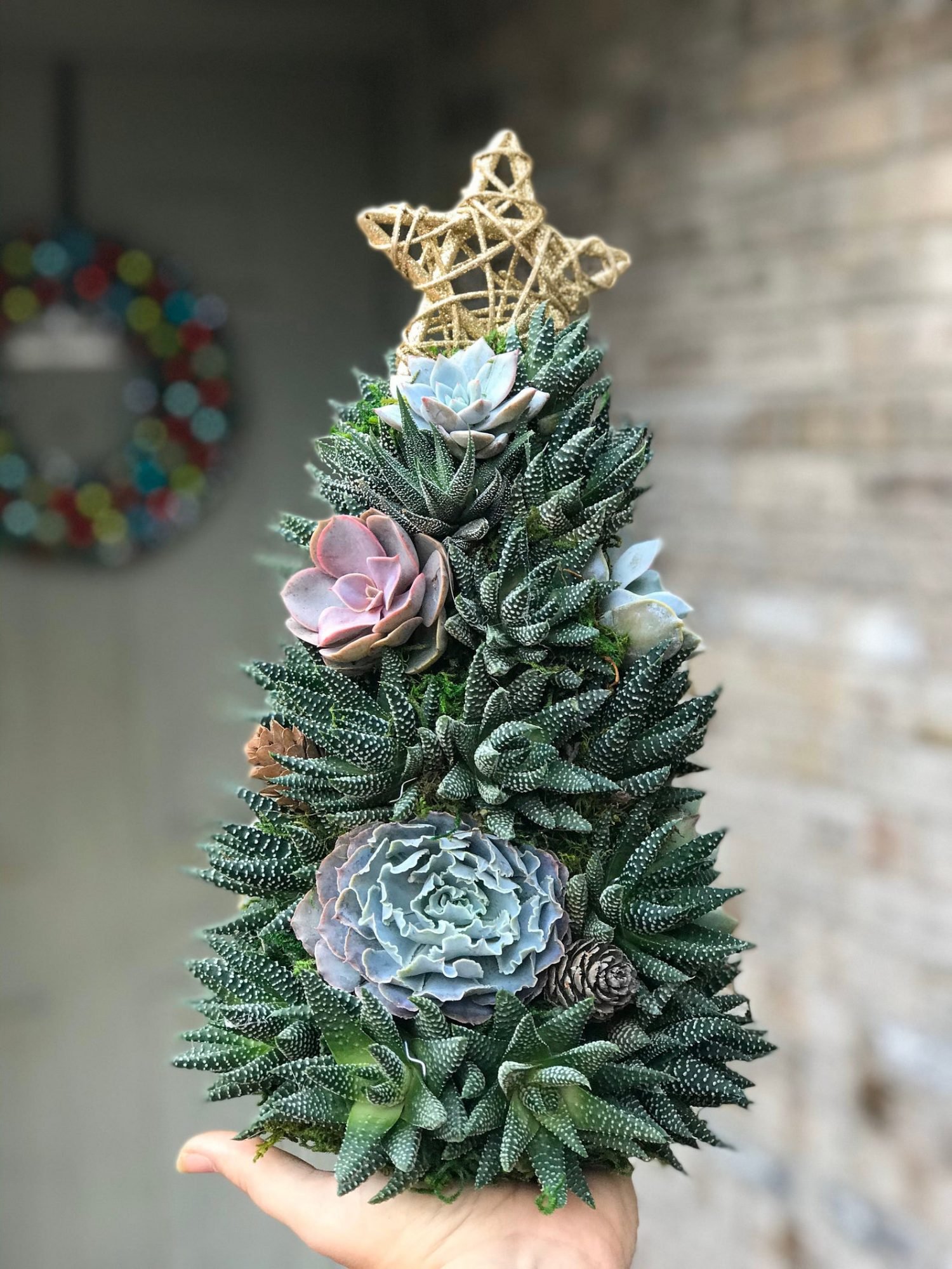 🔥Last  Day 70% OFF - 🎁🎄Succulent Art Tree