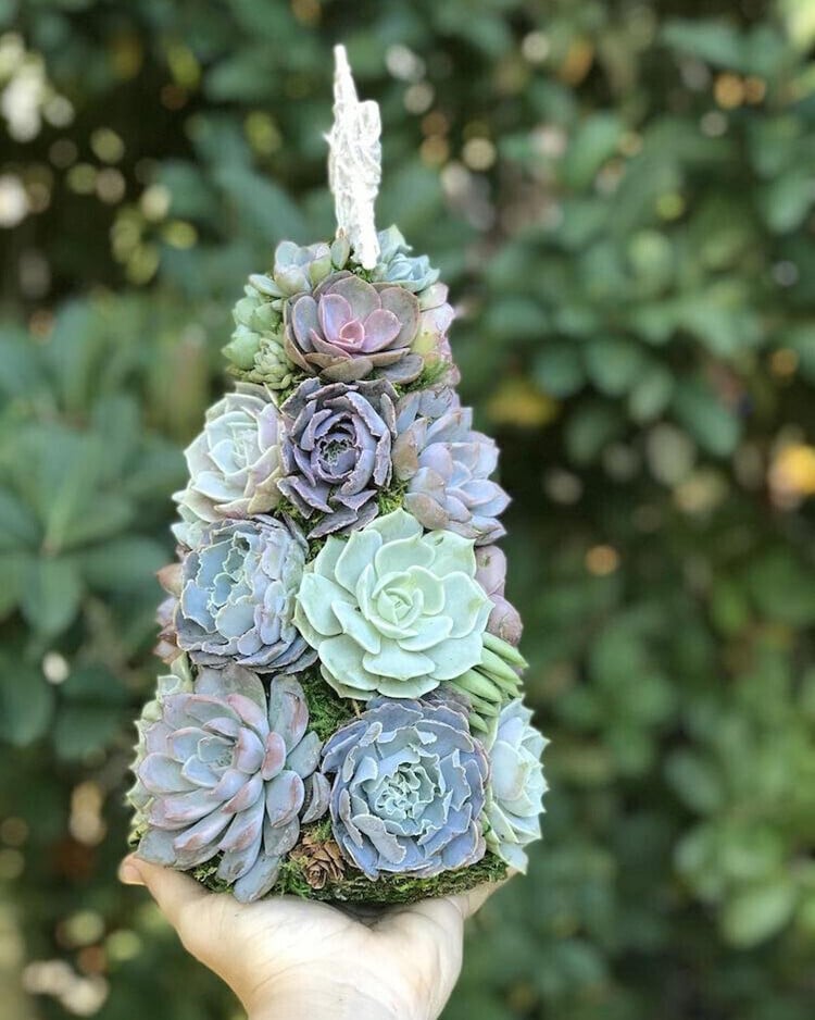 🔥Last  Day 70% OFF - 🎁🎄Succulent Art Tree