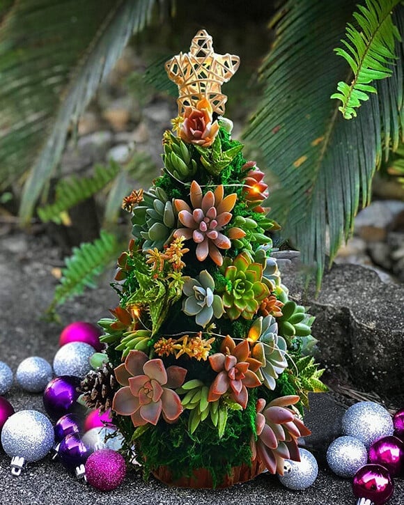 🔥Last  Day 70% OFF - 🎁🎄Succulent Art Tree