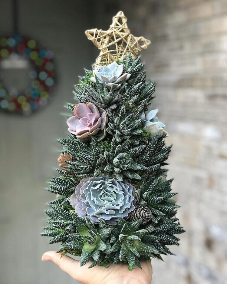 🔥Last  Day 70% OFF - 🎁🎄Succulent Art Tree
