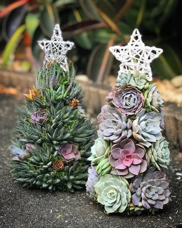 🔥Last  Day 70% OFF - 🎁🎄Succulent Art Tree