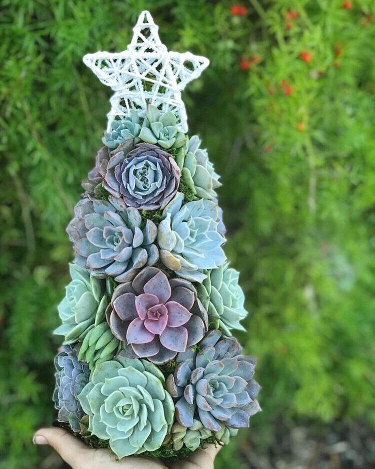 🔥Last  Day 70% OFF - 🎁🎄Succulent Art Tree