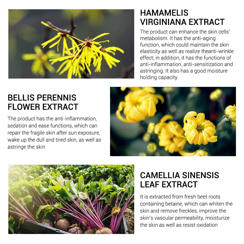 🎉 Last Day Promotion-70% OFF 🎉2023 New Magical Perfecting Base Face Primer Under Foundation