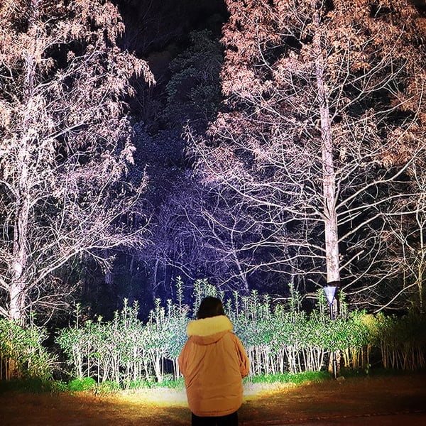 🎁Last Day Promotion- SAVE 49%🏠Super Bright Tactical High Power Outdoor Headlamp(Buy 2 Save 15%)