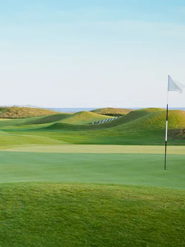 {"default":"Ambassador Program - Deolax"}