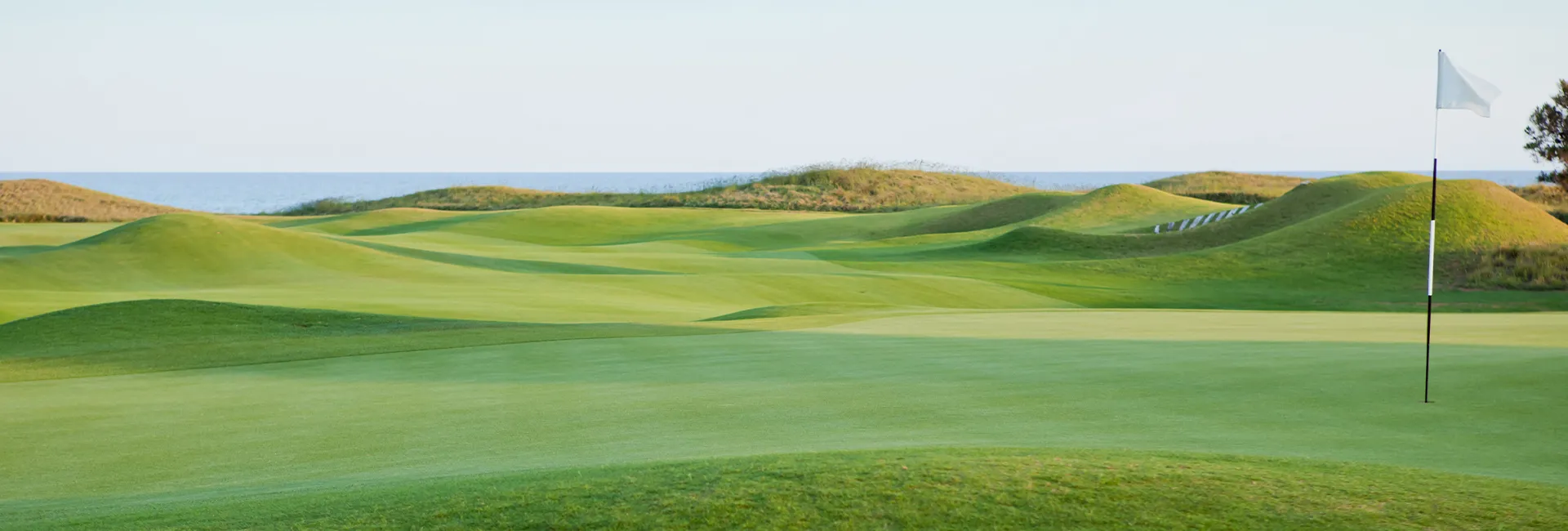 {"default":"Ambassador Program - Deolax"}