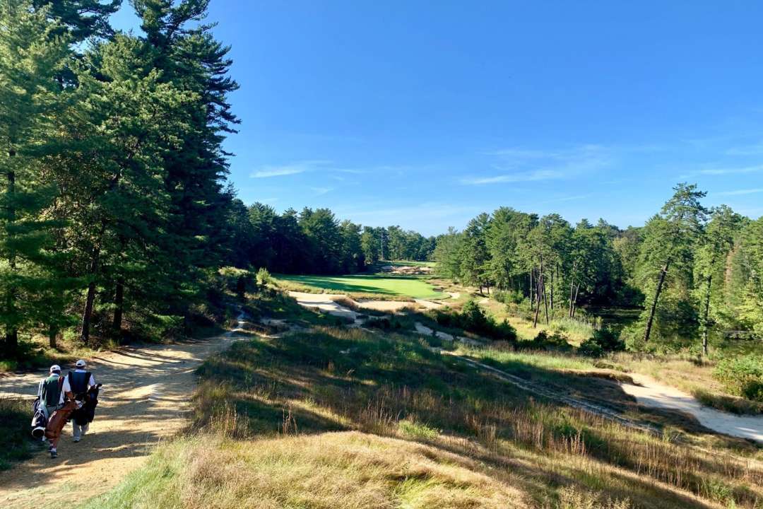 Pine valley golf course