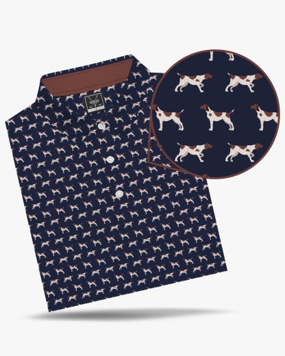 The GSP Polo - Deolax