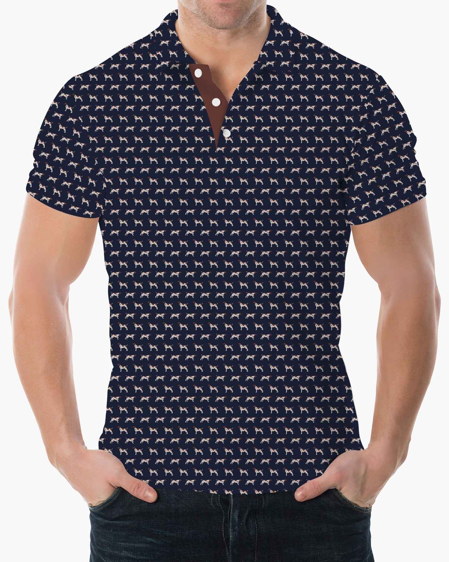 The GSP Polo - Deolax
