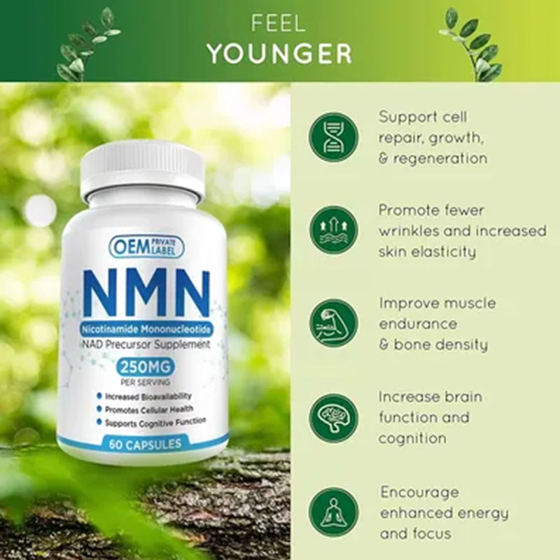 Reignite Your Youth with NMN – The Ultimate Vitality Booster