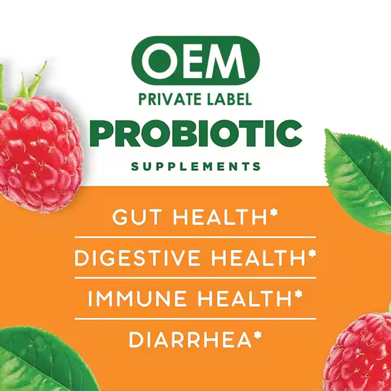 Gastrointestinal Digestive Gummies – Probiotic & Vitamin Support