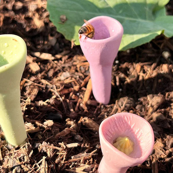 💐🐝Bee Insect Drinking Cup - A SET (5PCS)