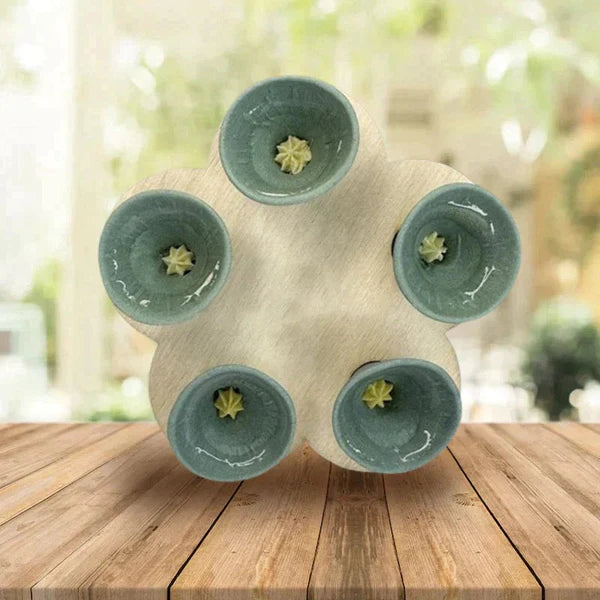 💐🐝Bee Insect Drinking Cup - A SET (5PCS)