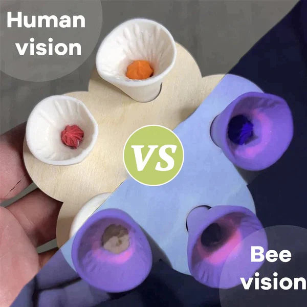 💐🐝Bee Insect Drinking Cup - A SET (5PCS)