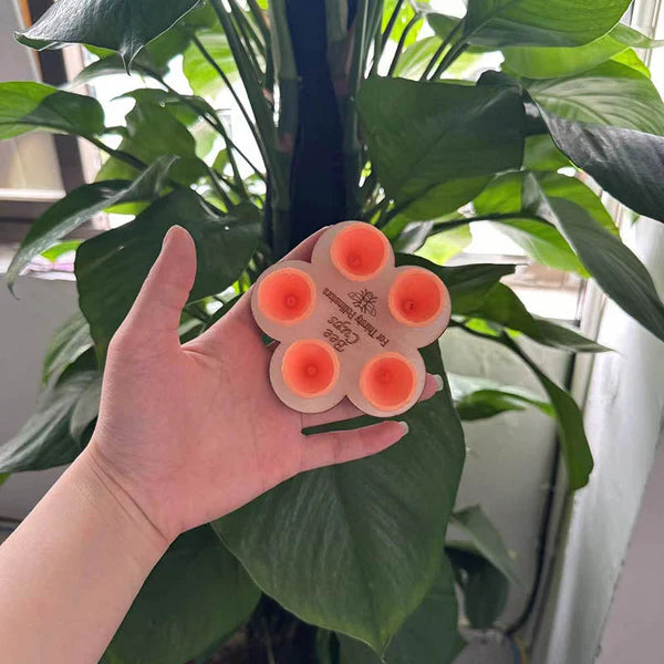 💐🐝Bee Insect Drinking Cup - A SET (5PCS)